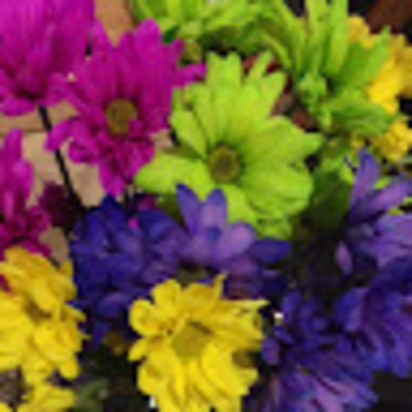 Meet your Posher, Z - Picture 1 of 1